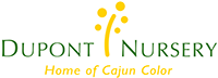 Dupont Nursery