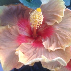 Sgt. Seth Trahan (2)