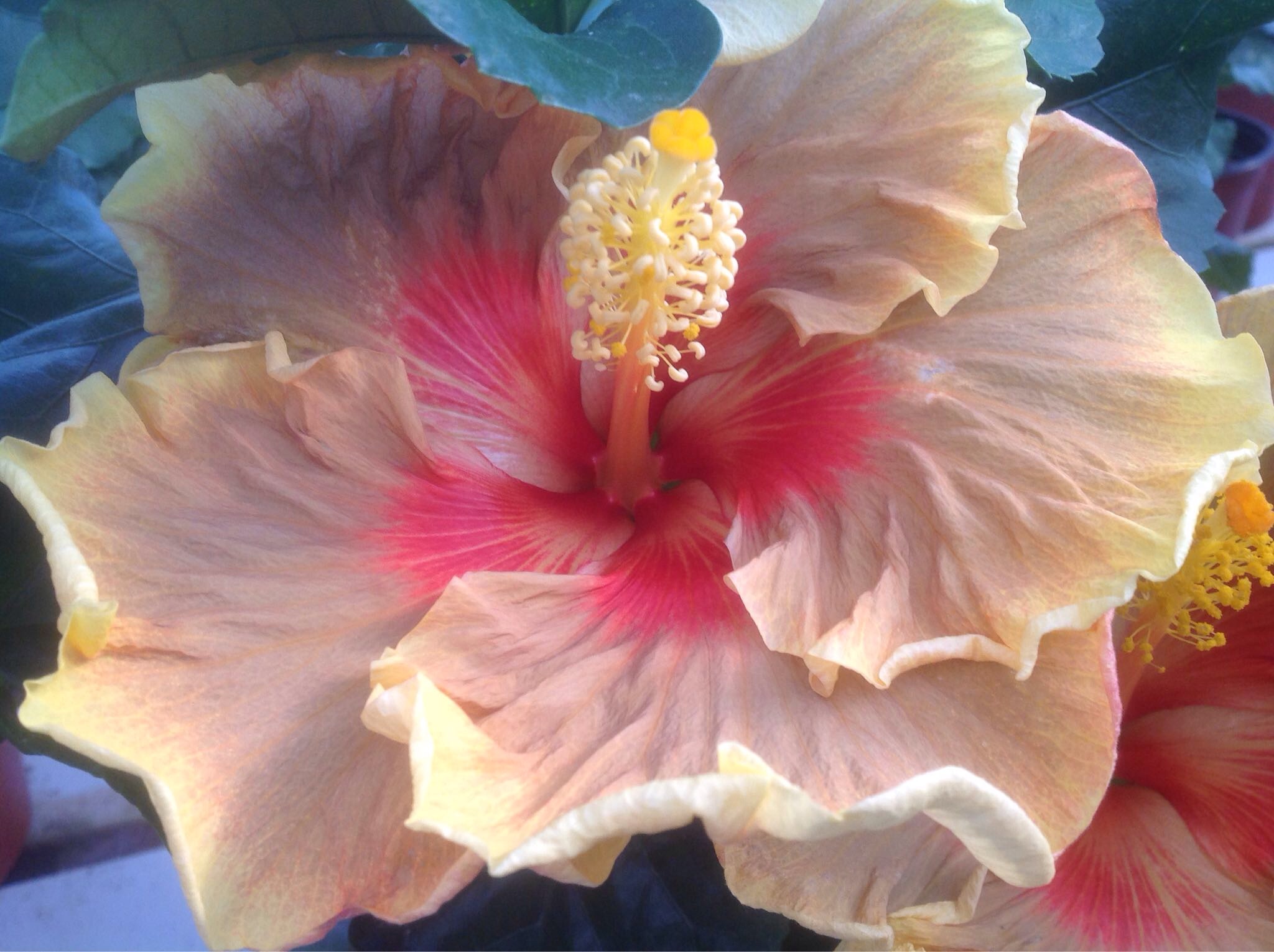 Sgt. Seth Trahan (2)